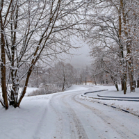 А дорога серою лентою вьется...