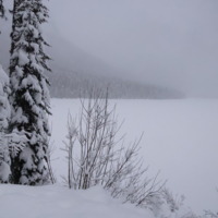 Звук Тишины