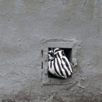 Черно-бело-полосатая серость