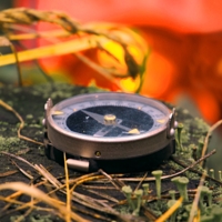 К светлому будущему...