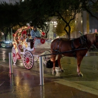 Карета для Санты