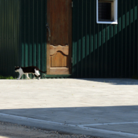 Свет и тень, черное и белое