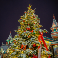 Ёлочка гори!