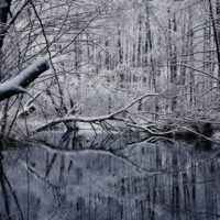 Первый снег.