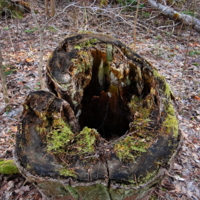 Вот он - портал!