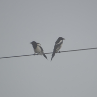 Не подходи ко мне, я обиделась...