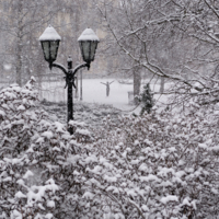 Снежный душ