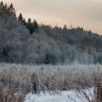 50 оттенков инея