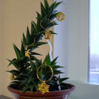 И даже кактус в ожидании