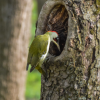 - Эй! Кто-нибудь дома?