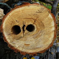 - А оно смотрело на меня...