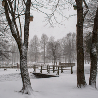 По свежему снегу