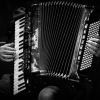 Руки аккордеониста
