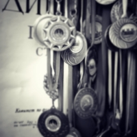 Дипломы, медали.