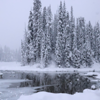 Северный Пейзаж