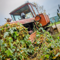 Летальное единство