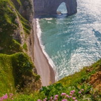 Скала на водопое