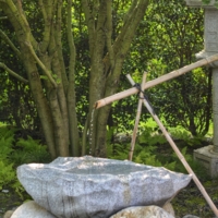 Вода и камень