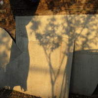 Без света нет тени