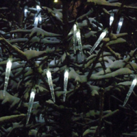 В праздничном убранстве