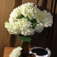 Чёрно-белая гармония