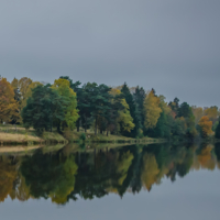 Единство 2х миров: реального и отражённого