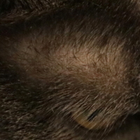 Я всё вижу...