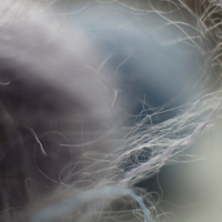 Распушилась