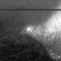 Лунный вечер на озере