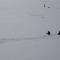 Холодный плен.