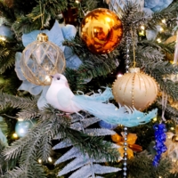 Птица счастья