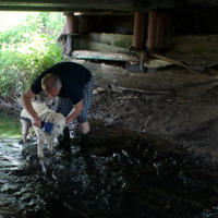 Моем, моем трубочиста, чисто-чисто...
