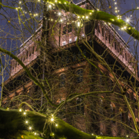 Когда ёлок нету