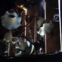 Свет и тень