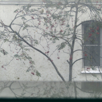 Объект и отражение противоположны и неразделимы