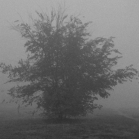 Утро туманное, утро седое...