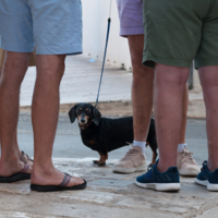 Поф😄игизм