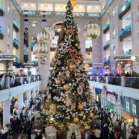 Елка в универсаме