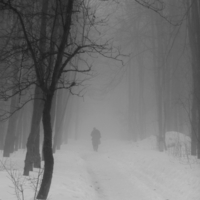 Двое в тумане