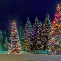 Наряженные ёлки около автозаправки