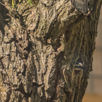 погода в доме...