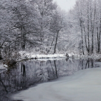 Скоро зима.