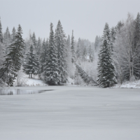 От мороза чуть пьяные