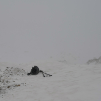 Дальше тропа ёк