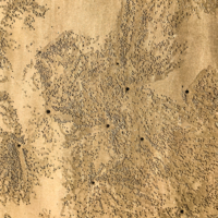 Домики дырочки