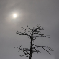 В японском стиле