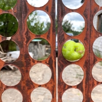 Много дырок и одно яблоко