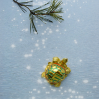 Черепаха - символ удачи в достижении цели