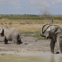 Всем удачи!
