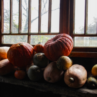 Витамины к зиме